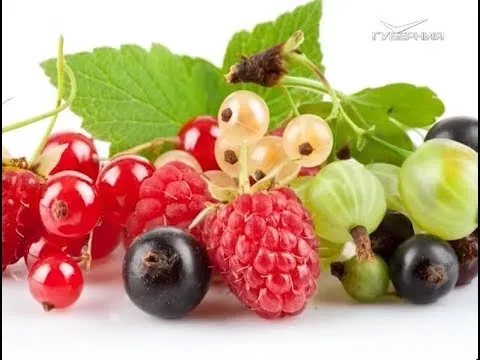 Какой сок самый полезный. Утро Губернии