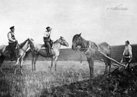 Польза или вред: все о спорах. Утро Губернии