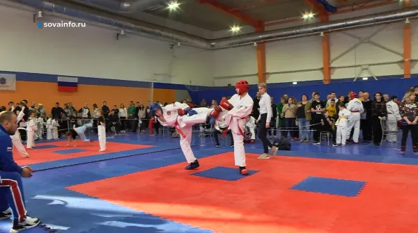 В Волжском районе прошли соревнования по тхэквондо