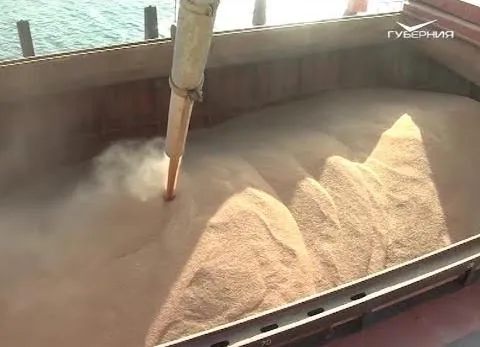 Успехи аграриев в экспорте. Агрокурьер