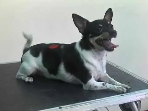 Азбука потребителя 26.03.2015 