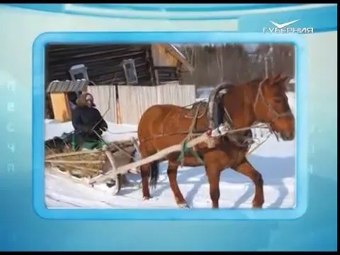 Календарь губернии 04.02.2016