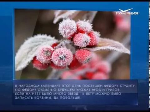 Календарь губернии от 24.11.2017