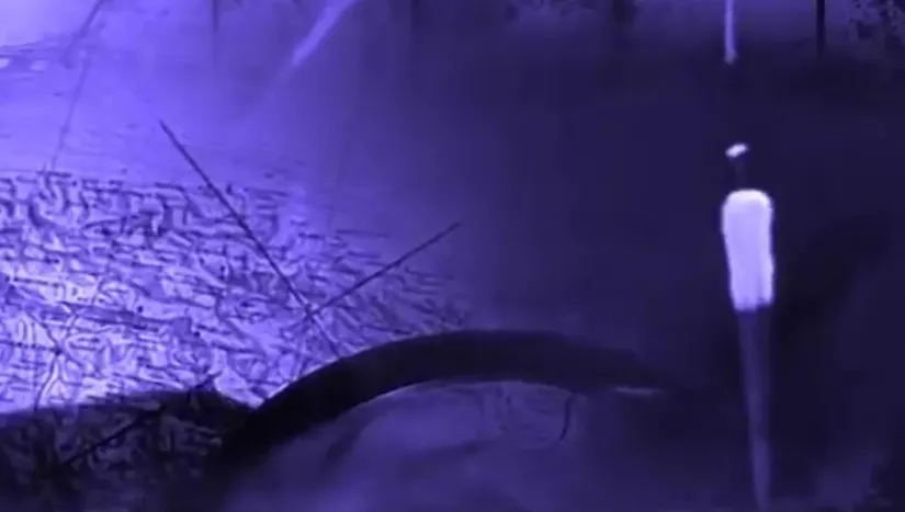 Название статьи