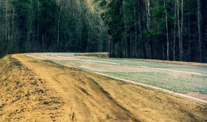 В Тольятти на обочине дороги нашли голову без вести пропавшего человека
