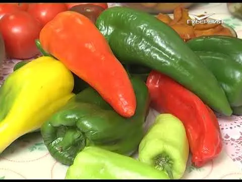 Как вырастить перцы в сложных условиях. Дачные советы