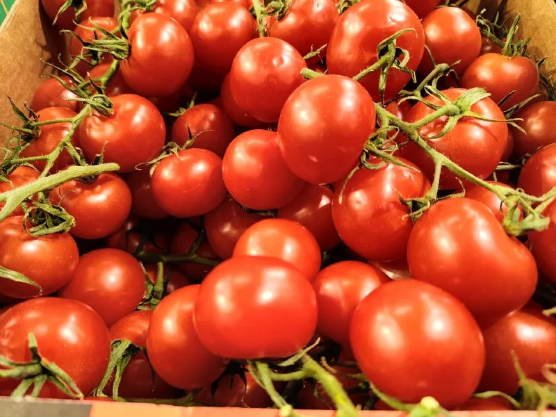 В Самаре 22 августа откроются сезонные ярмарки