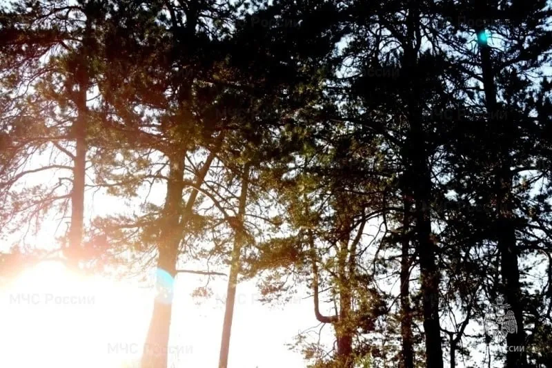 Самарские пожарные за сутки шесть раз тушили травяной пожар