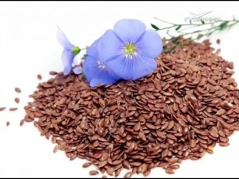 Как похудеть с помощью семян льна. Утро Губернии