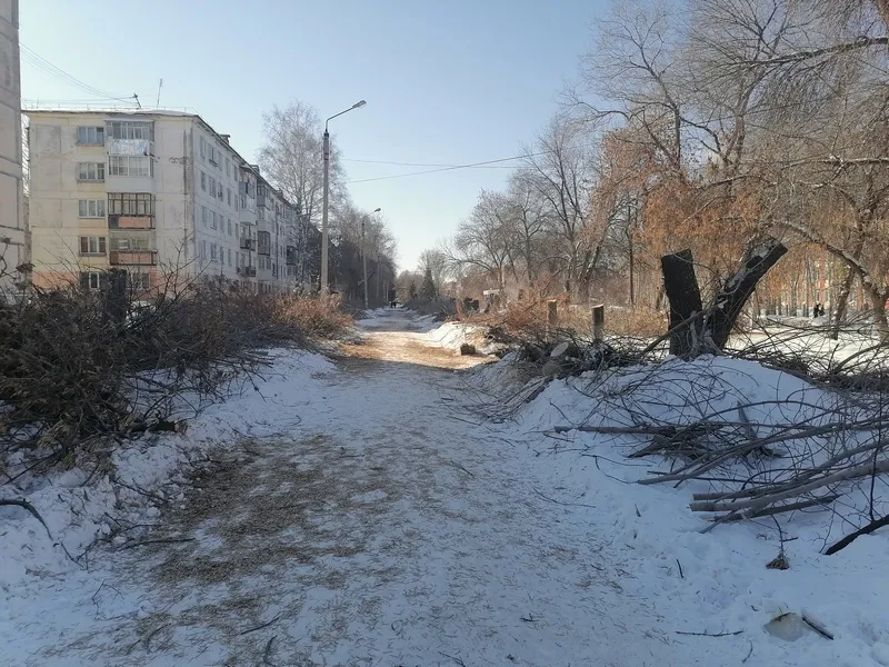 В Отрадном в 2021 году преобразятся еще семь дворов 