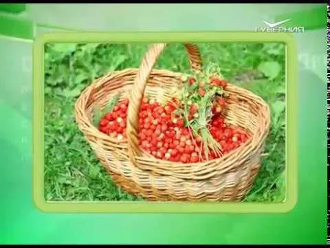 Календарь губернии 09.07.2017