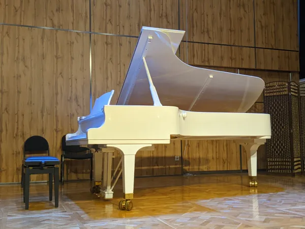 В Самаре приглашают на концерт, где прозвучит музыка Чайковского