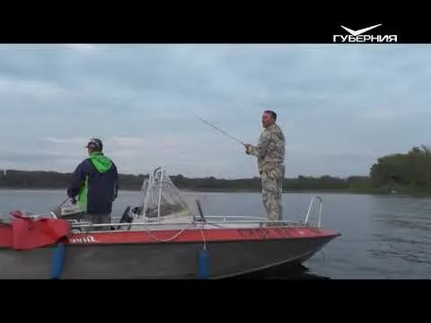 Ловля судака во время летнего похолодания. Рыбацкое счастье