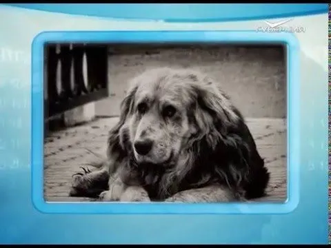 Календарь губернии 14.02.2016