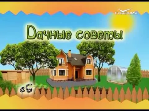 Дачные советы 02.03.2017. Лук эксибишен