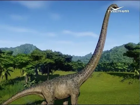 Как визуально удлинить шею. Утро Губернии