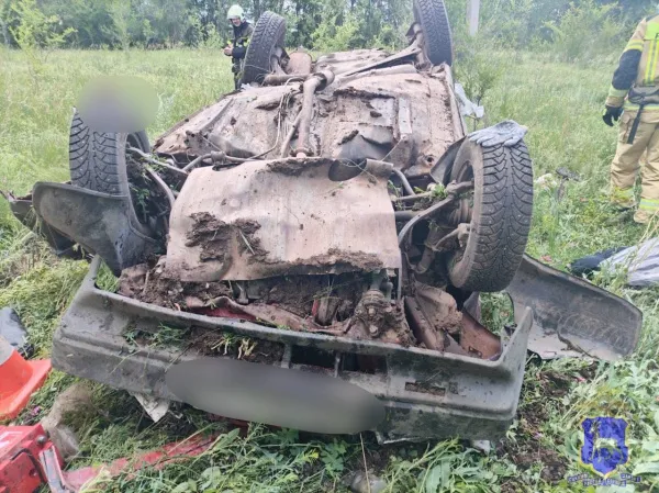В Самарской области водитель на "девятке" вылетел в кювет и перевернулся