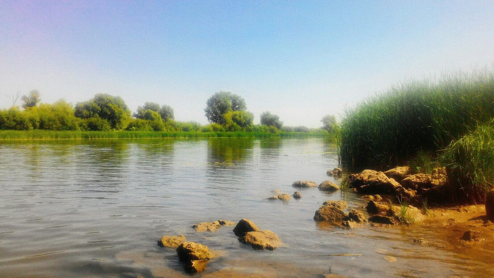 Труп 23-летнего парня с простреленной головой обнаружили на берегу Волги в Самарской области