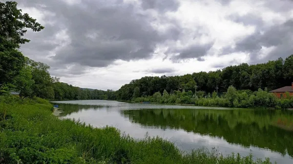 Три тысячи мальков волжской стерляди из Татарстана выпустили в реку в Самаре