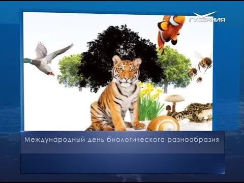 Международный день биологического разнообразия. Календарь губернии от 22 мая