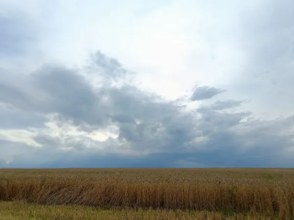 Народные приметы на 2 сентября 2025 года: что нельзя делать в этот день