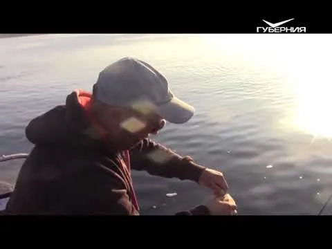 Ловля окуня. Рыбацкое счастье