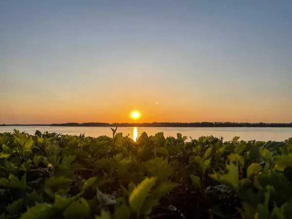 В Самарской области 19 мая воздух прогреется до +23 градусов