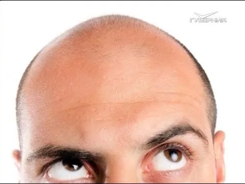 День лысых. Утро Губернии