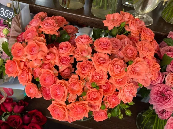 Любовный гороскоп на 7 июля 2025 года: что обещают астрологи