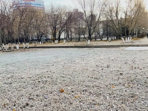 Будет скользко: в Самарской области 3 ноября объявлен желтый уровень погодной опасности