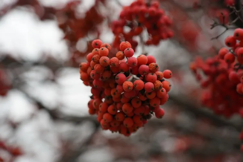 Народные приметы на 9 декабря 2025 года: что нельзя делать в этот день