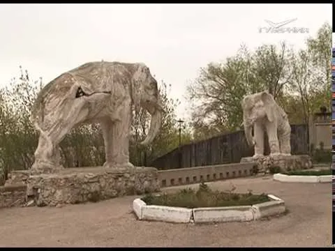Всемирный день музеев. Утро Губернии от 18.05.2018