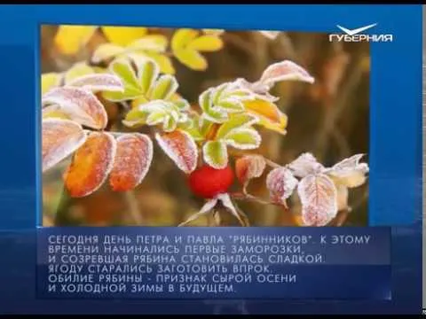 Календарь губернии 23.09.2017