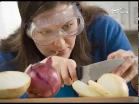 Утро Губернии 20.09.2017. Отмечаем день лука весело