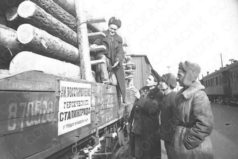 500 воинских частей и подразделений: какой вклад внесли куйбышевцы в победу под Сталинградом