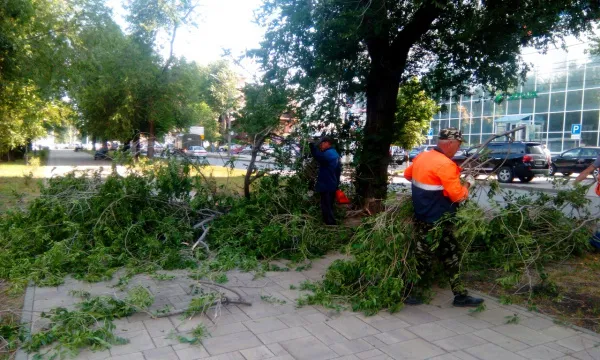 В Самаре во время грозы упали 35 деревьев