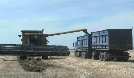 В Самарской области намолотили более полумиллиона тонн зерна