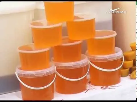 Новости Губернии от 24.08.2018