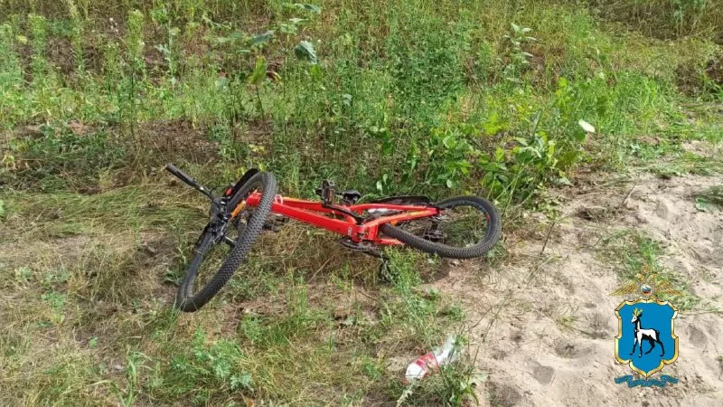 На трассе в Самарской области Priora насмерть сбила 10-летнего велосипедиста