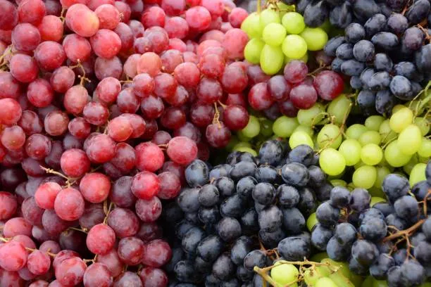 Полезные свойства черного и красного винограда
