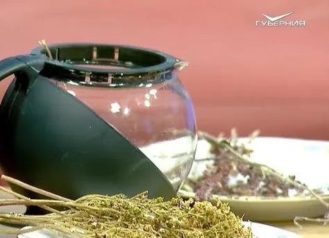 Всемирный день чая. Утро Губернии