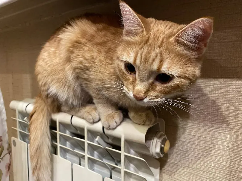 В Новокуйбышевске отопление дали в 194 многоквартирных домах