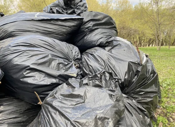 Волонтеры провели субботник на пруду Государка в Самарской области