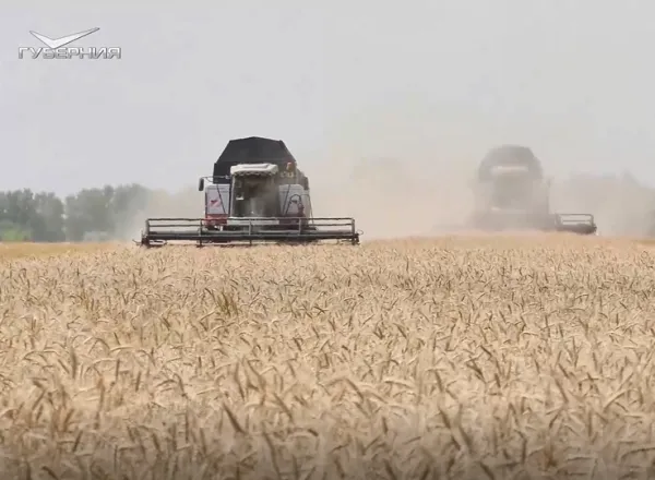 В Безенчукском районе механизаторы вступили в страду с молодыми помощниками