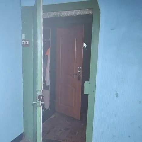 В Тольятти 27-летний мужчина вломился в чужую квартиру и украл гитару 