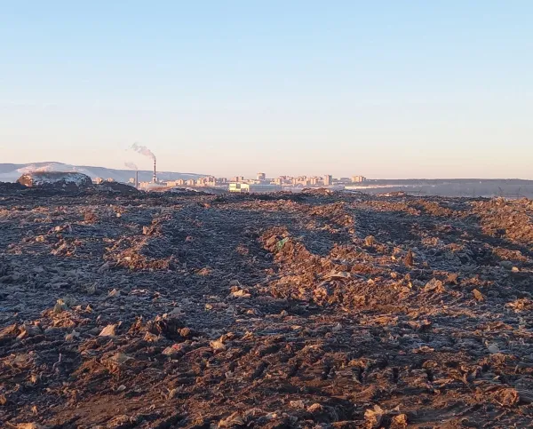 В Тольятти сформируют 60 земельных наделов для участников СВО