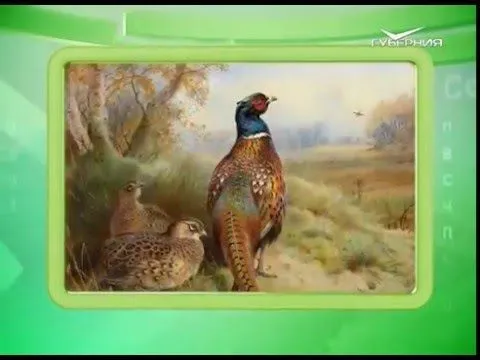 Календарь губернии 07.04.2016