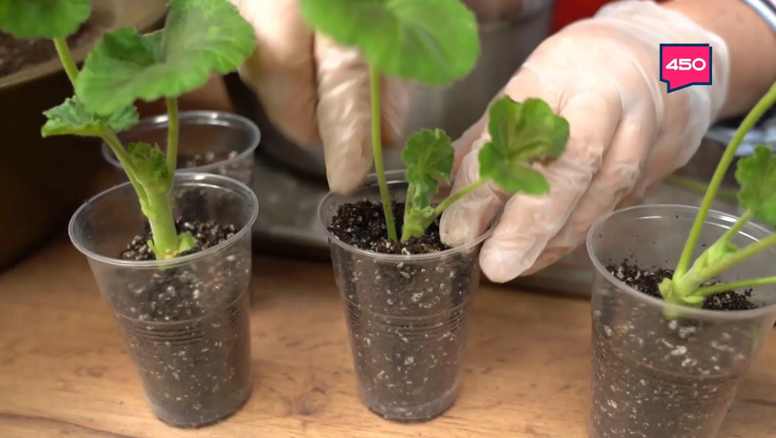 Название статьи