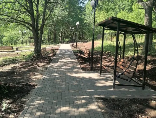 В Подбельске посадили каштановую аллею 