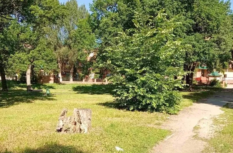 В Похвистневском районе определились с подрядчиками, которые будут обновлять общественные территории в 2023 году 